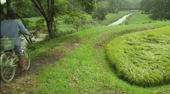 꿀잼 영화들 추천.JPG | 인스티즈