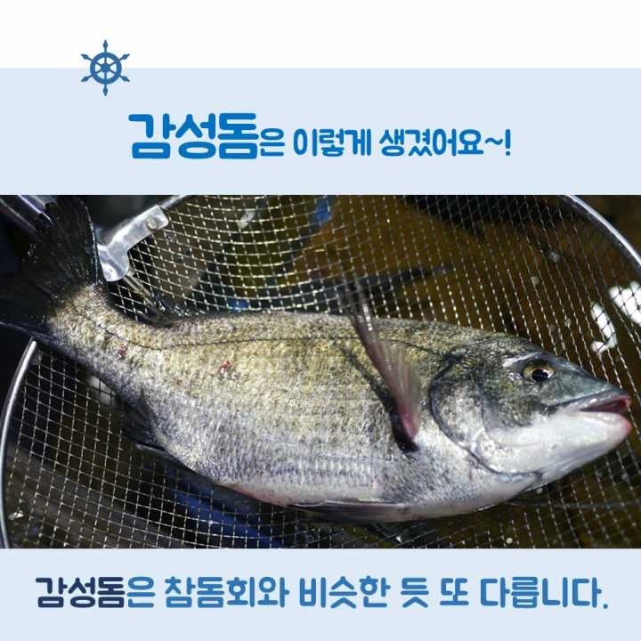 생선회 구별법.JPG | 인스티즈