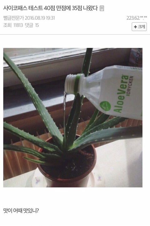 지루한 명절에는 역시 잡다한 유머 글들 | 인스티즈