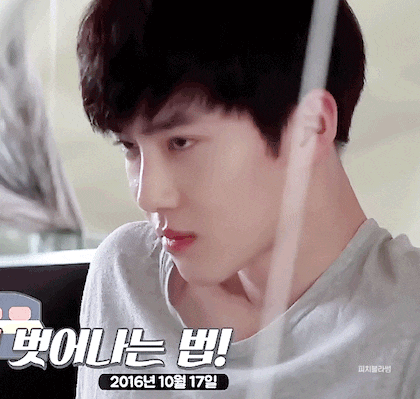 [고르기] 좀비 세상이 왔을때 함께할 팀 고르기 (데이터 주의) | 인스티즈