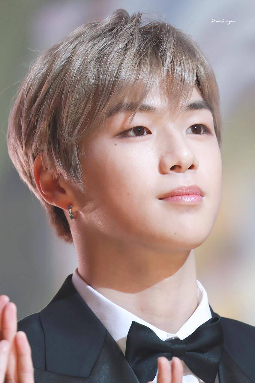 12월29~12월31일까지의 강다니엘.jpg | 인스티즈