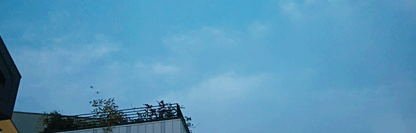 [질투의화신] 마지막까지 완벽했던 3년 짝사랑의 해피엔딩.jpg | 인스티즈