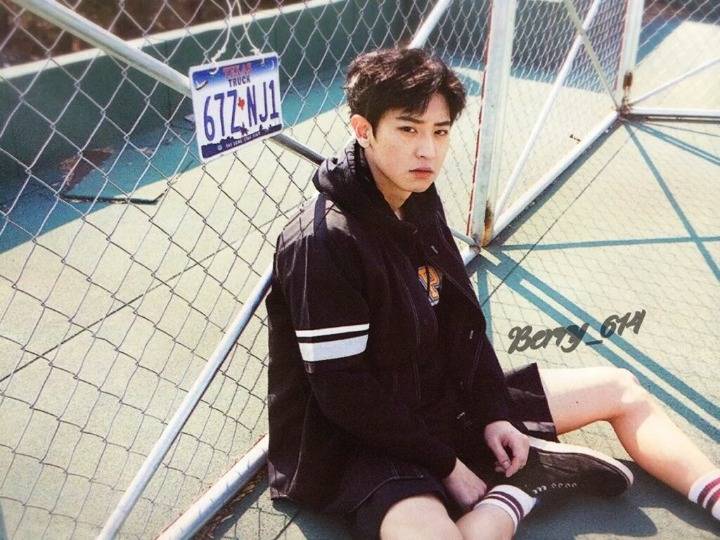 [고르기] 좀비 세상이 왔을때 함께할 팀 고르기 (데이터 주의) | 인스티즈