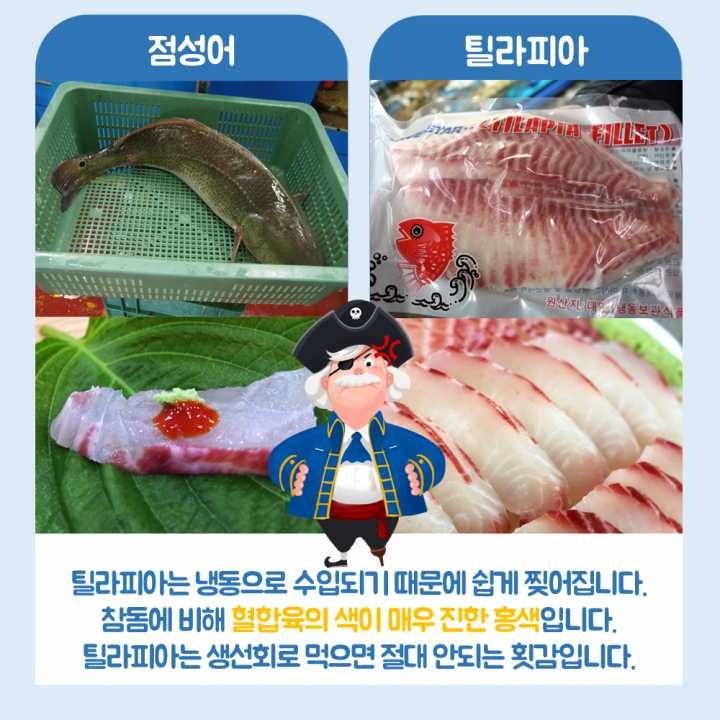 생선회 구별법.JPG | 인스티즈