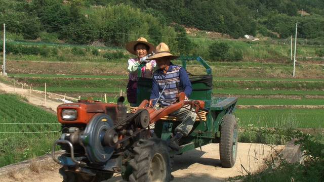 현직 농업종사자가 말하는 시골 할머니들의 생활 | 인스티즈
