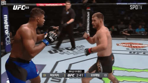 미오치치 vs 런두 | 인스티즈