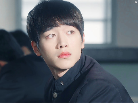 [고르기] 오갈데 없는 여시와 함께 있어줄 사람을 골라보자 | 인스티즈