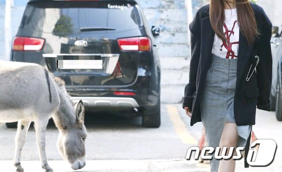 짱예다... 하면서 연예인 짤 보고있는데.jpg | 인스티즈