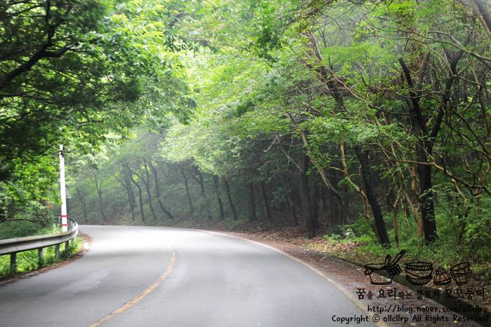 대한민국 최고의 드라이브코스들 총망라 | 인스티즈
