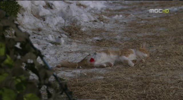 [지붕킥] 사라진 순재의 약혼반지 | 인스티즈