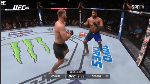 미오치치 vs 런두 | 인스티즈