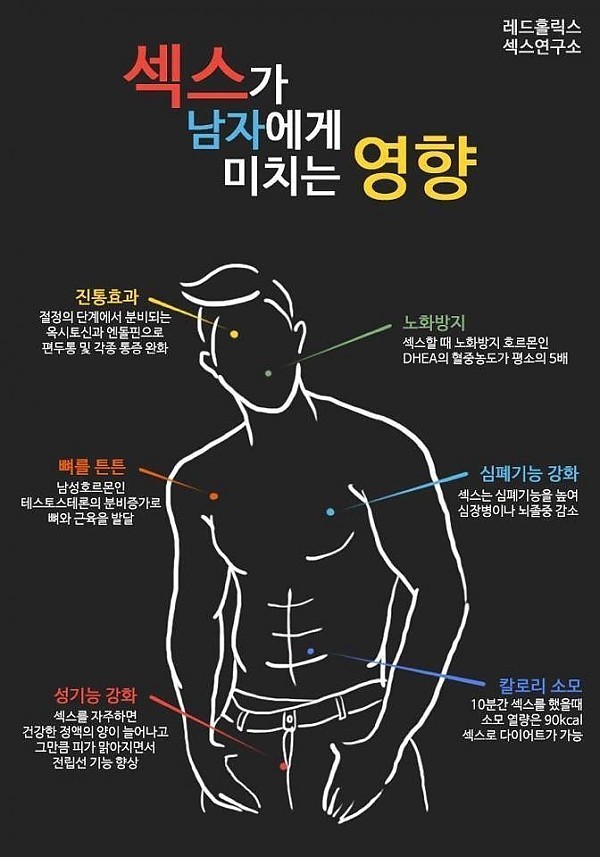 섹스가 우리 몸에 미치는 영향 (크리스마스 기념) | 인스티즈