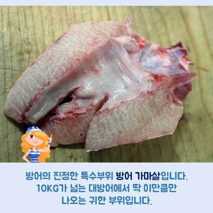 생선회 구별법.JPG | 인스티즈