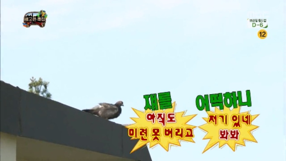 [무한도전] 무한족 서울 도심에서 비둘기 잡기 jpg | 인스티즈