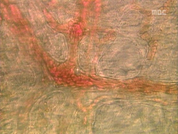 [거침없이하이킥] 박해미 앞에서 온순해진 민용이 ㅋㅋㅋㅋㅋ.jpg | 인스티즈