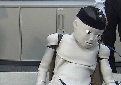 [고르기] 오갈데 없는 여시와 함께 있어줄 사람을 골라보자 | 인스티즈