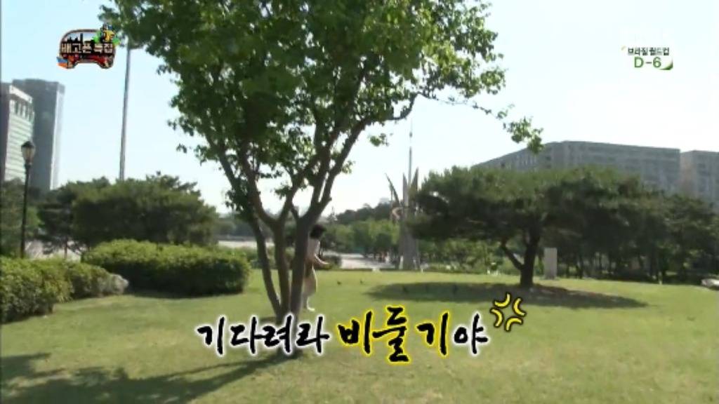 [무한도전] 무한족 서울 도심에서 비둘기 잡기 jpg | 인스티즈