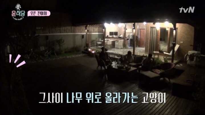 [윤식당] 고양이 보고 좋아하는 윰블리.jpg | 인스티즈