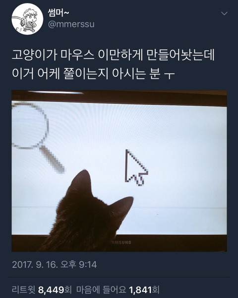 내가 좋아하는 트위터 아무말대잔치 모음 2탄.zip | 인스티즈