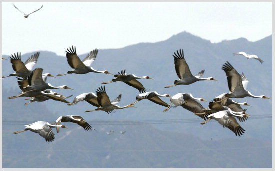 과거 2세대 아이돌 팬덤에서 터부시되었던 존재들.txt | 인스티즈