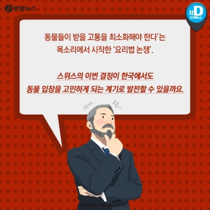 산 채로 끓는 물에 넣어지는 바닷가재 고통 아시나요 | 인스티즈