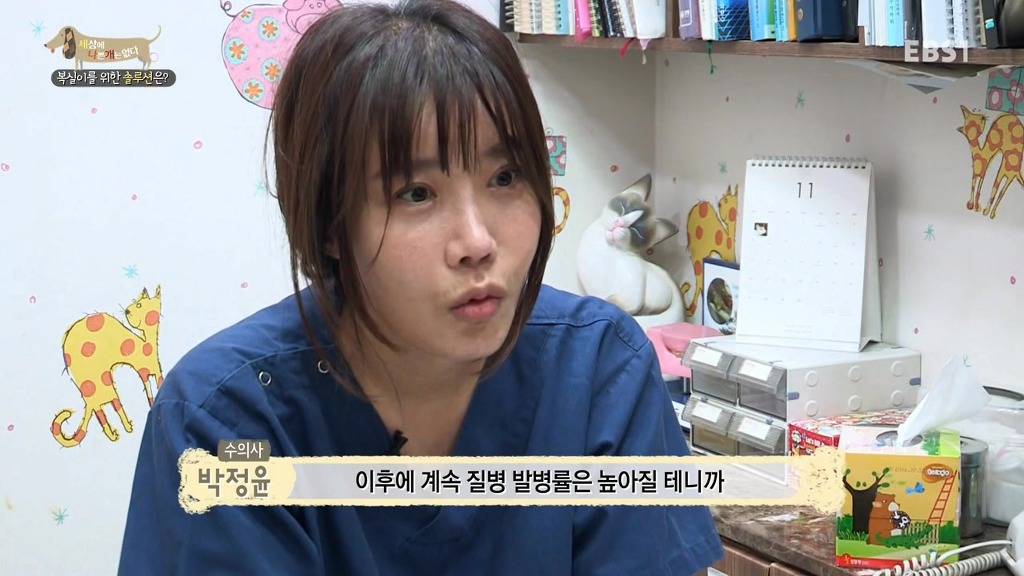 개 키울때 중성화 수술을 해줘야하는 이유 (feat.세나개) | 인스티즈