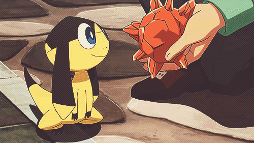 [포켓몬] 여태까지 나온 모든 진화방법 | 인스티즈