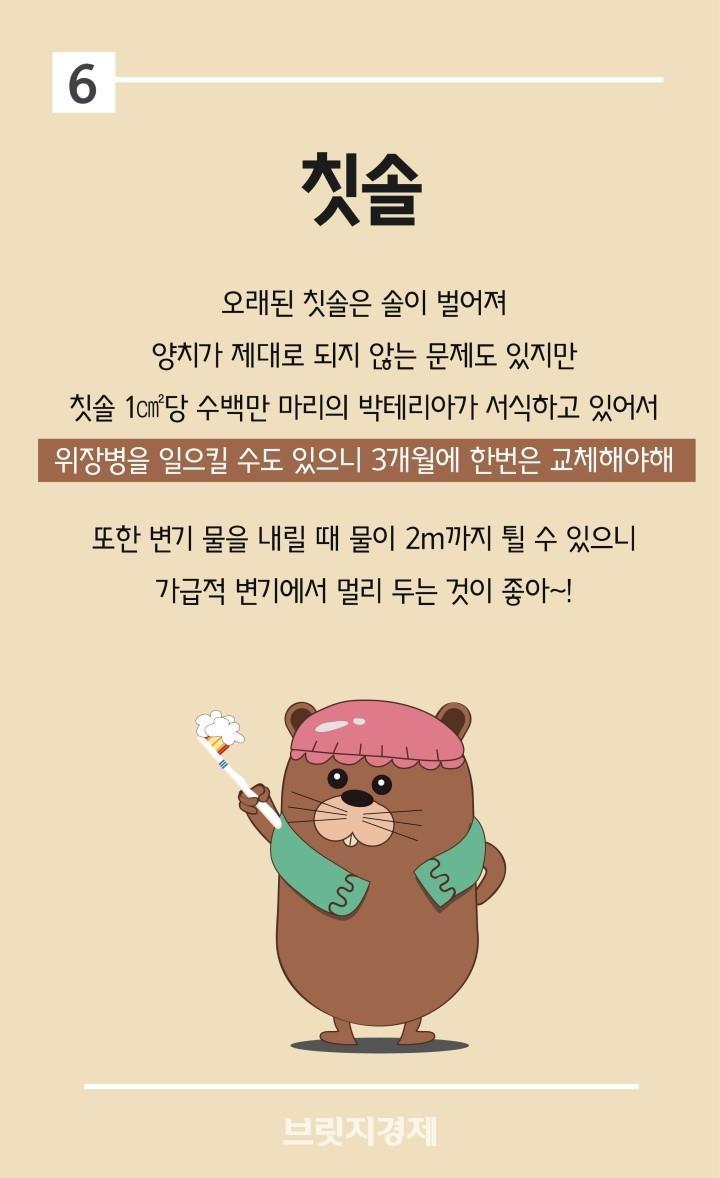 칫솔은 3개월에 한번씩 교체하자구...고데기,렌즈케이즈 등.jpg | 인스티즈