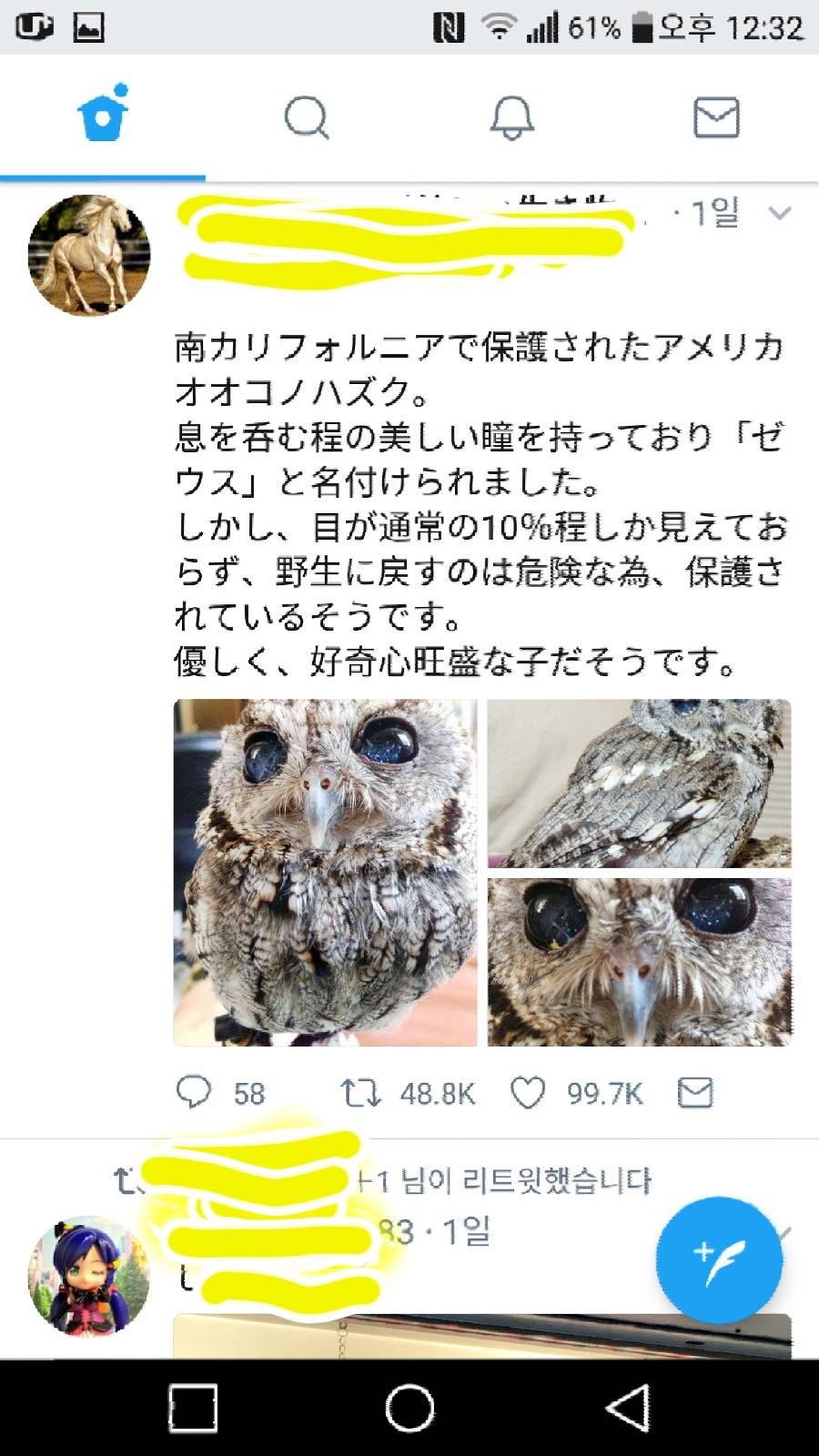 은하수 눈을가진 부엉이 | 인스티즈