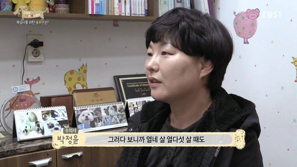 개 키울때 중성화 수술을 해줘야하는 이유 (feat.세나개) | 인스티즈