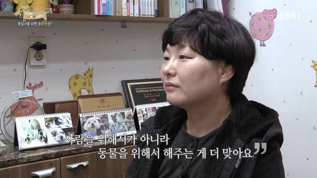 개 키울때 중성화 수술을 해줘야하는 이유 (feat.세나개) | 인스티즈