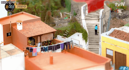 윤식당2 카메라촬영수준 | 인스티즈