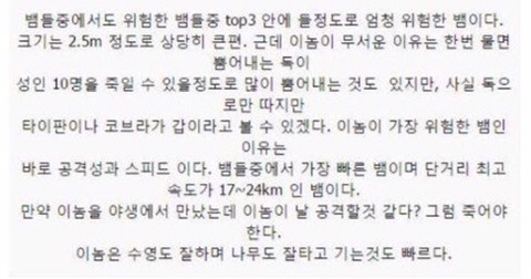 보기보다 훨씬 더 위험한 생물들 (혐오주의) | 인스티즈