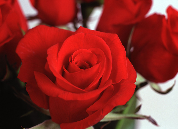 100％ 확실한 당신의 심리테스트 | 인스티즈