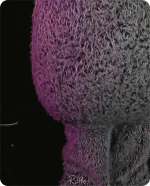 [오마이걸] 이게 토끼야 효정이야? | 인스티즈