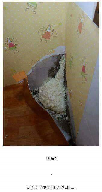 셀프 인테리어 레전드 | 인스티즈