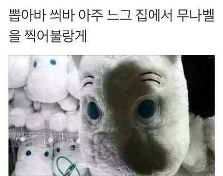 웃긴짤 모음집 | 인스티즈