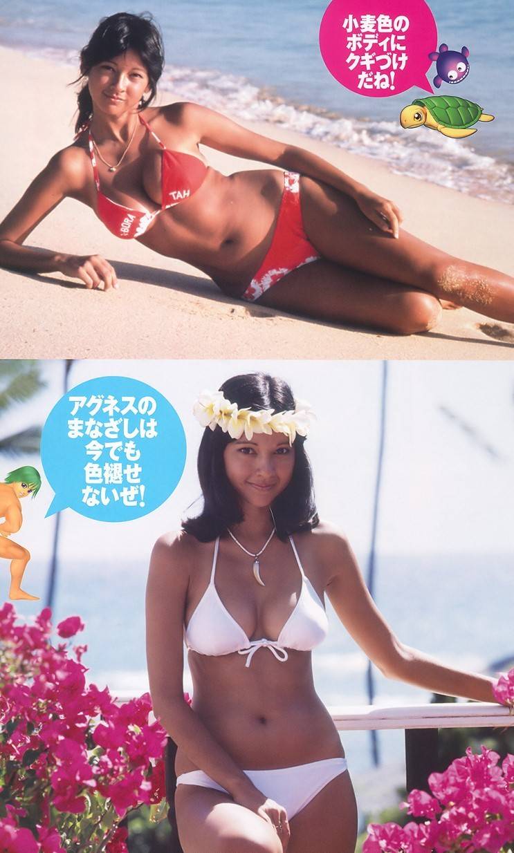 70년대 일본을 휩쓴 그라비아의 원조.JPG (뒤조심) | 인스티즈