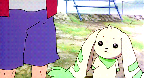 짤로도 많이 쓰이는 디지몬 테이머즈의 귀요미 '테리어몬' (움짤多/ | 인스티즈