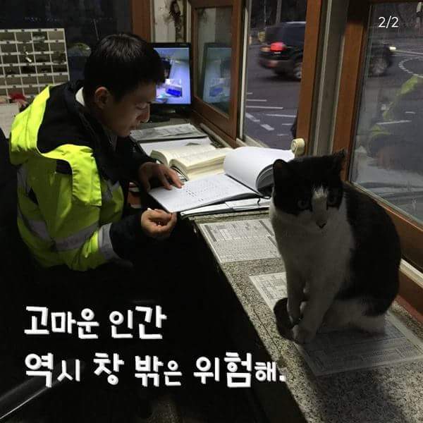 경찰서를 찾아온 고양이.jpg | 인스티즈