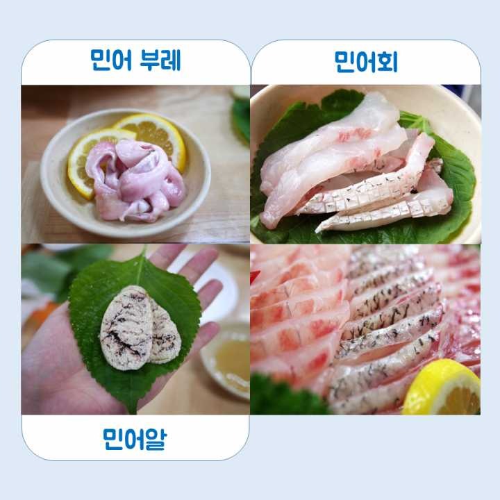 생선회 구별법.JPG | 인스티즈