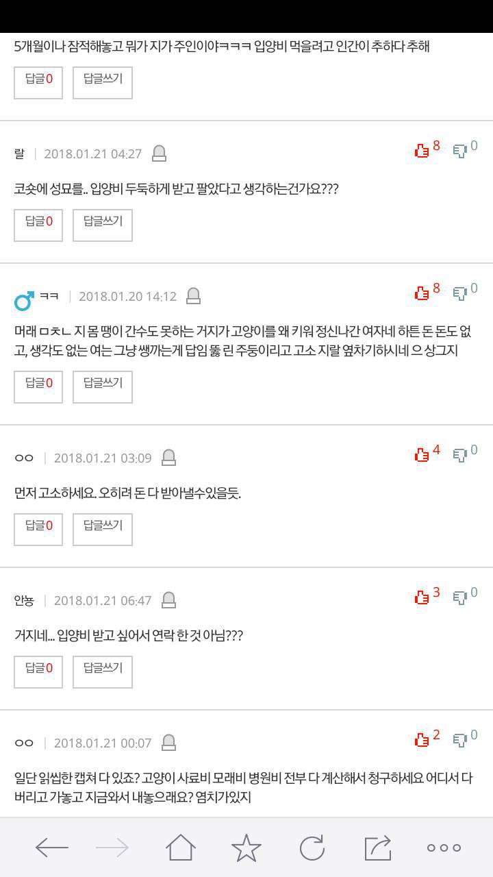 추가)고양이 입양보내서 주인인 언니가 고소한데요 | 인스티즈