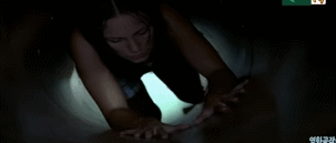 아빠가 큰 고양이를 입양해왔는데.. 개무섭고 개시름;.gif | 인스티즈