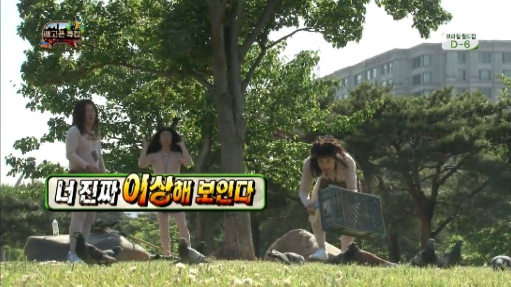[무한도전] 무한족 서울 도심에서 비둘기 잡기 jpg | 인스티즈