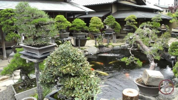 은근히 돈많이 나가는 고급 취미생활 | 인스티즈