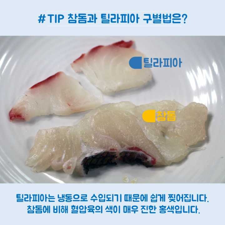 생선회 구별법.JPG | 인스티즈