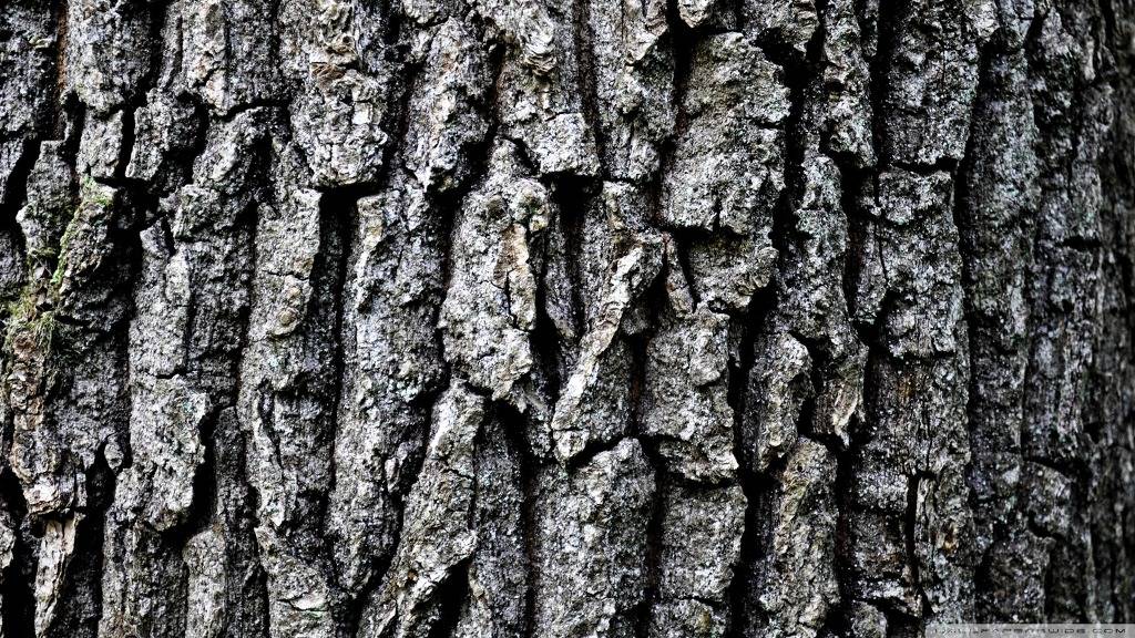 고해상도 컴퓨터 배경화면 406번째 게시물 BGM - 센과 치히로의 행방불명 OST - 어느 여름 날 | 인스티즈