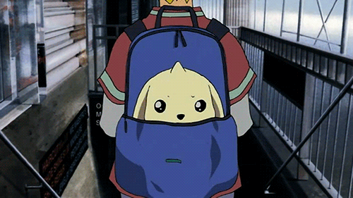 짤로도 많이 쓰이는 디지몬 테이머즈의 귀요미 '테리어몬' (움짤多/ | 인스티즈