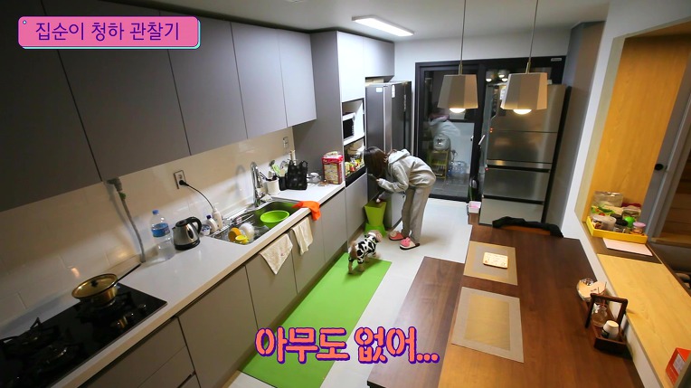 집순이 김청하의 하루 | 인스티즈