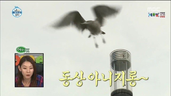 나혼자산다 하드캐리부분.jpg | 인스티즈